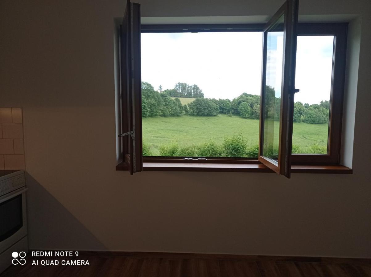 Apartmany U Becova Nad Teplou Bečov nad Teplou Zewnętrze zdjęcie